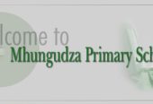 Mhungudza Primary School
